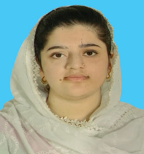 Demo Zara Mehmood